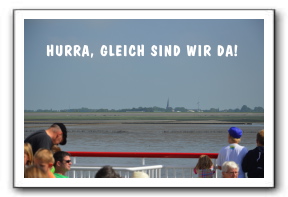 Ameland_01-2013_0025