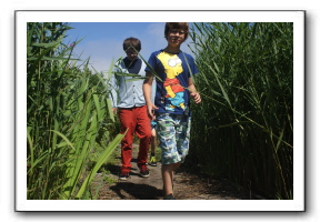 Ameland_02-2013_0064