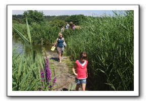 Ameland_02-2013_0069
