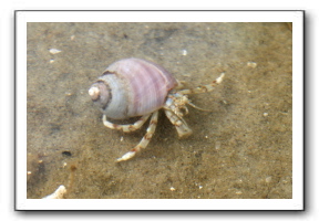 Ameland_05-2013_0044