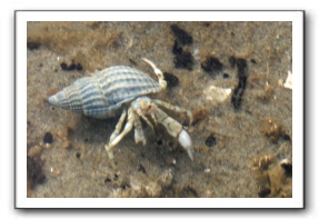 Ameland_05-2013_0046