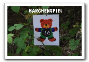 Ameland_06-2013_0043