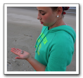 Ameland_07-2013_0100