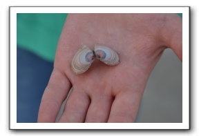 Ameland_07-2013_0101