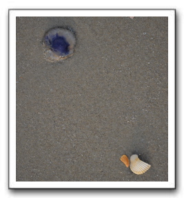 Ameland_07-2013_0102