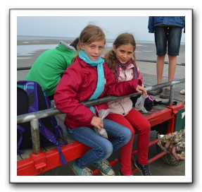 Ameland_07-2013_0113