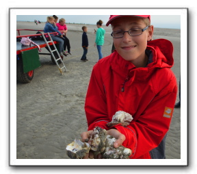 Ameland_07-2013_0115