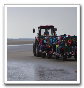 Ameland_07-2013_0067