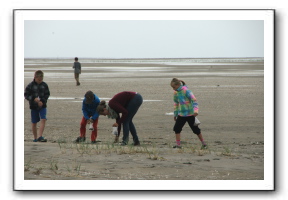 Ameland_07-2013_0074