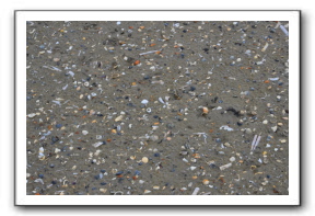 Ameland_07-2013_0089