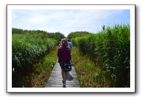 Ameland_10-2013_0013