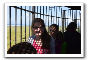 Ameland_10-2013_0020