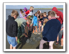 Ameland_10-2013_0010