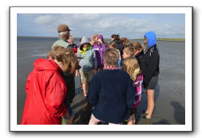 Ameland_10-2013_0011