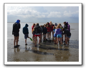 Ameland_10-2013_0016