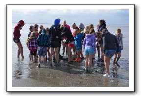 Ameland_10-2013_0018