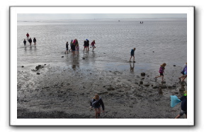 Ameland_10-2013_0026