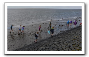 Ameland_10-2013_0027