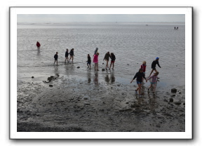 Ameland_10-2013_0028