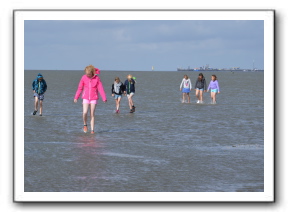 Ameland_10-2013_0009